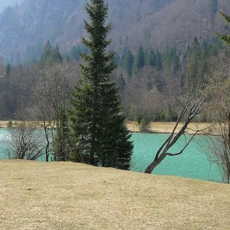 Wunderschone Ferienwohnung Mit Blick Auf Karawanken Διαμέρισμα
