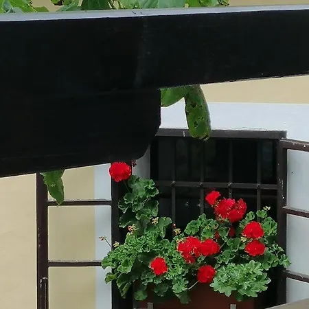 Διαμέρισμα Wunderschone Ferienwohnung Mit Blick Auf Karawanken