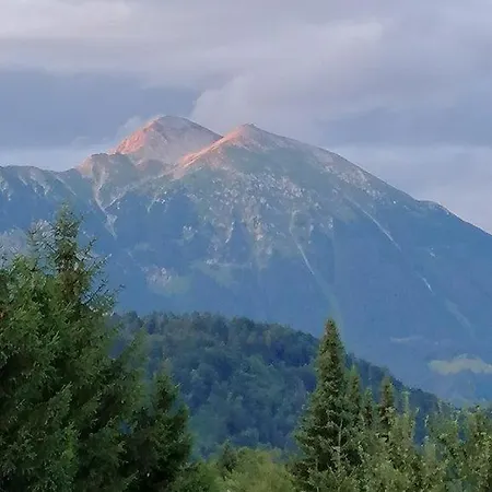 Διαμέρισμα Wunderschone Ferienwohnung Mit Blick Auf Karawanken Zgornje Gorje